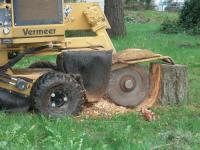 Acadian Tree Removal and Stump Services,LLC image 2